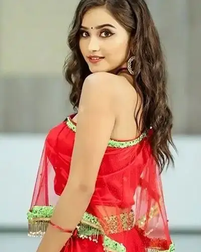 Call Girls Service Punganur